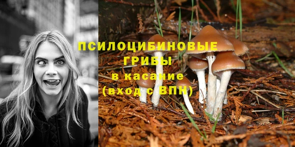тгк Алексеевка