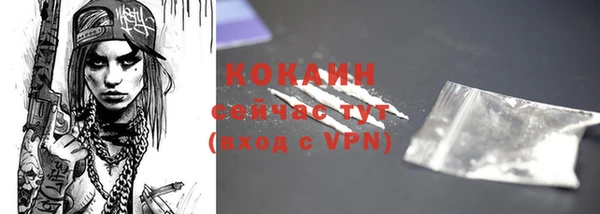 соль ск Абаза